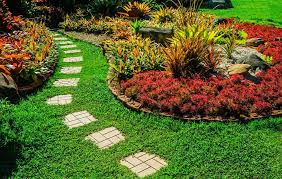 Outdoor Plant Designing