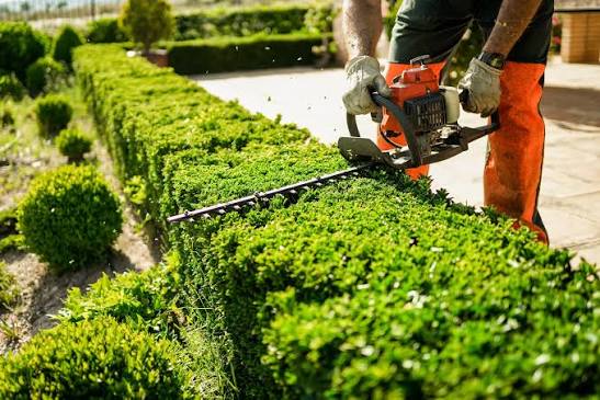 Garden Maintenance Services