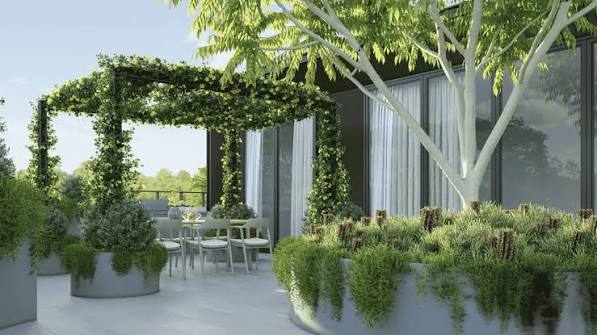 Terrace Landscape Gardening